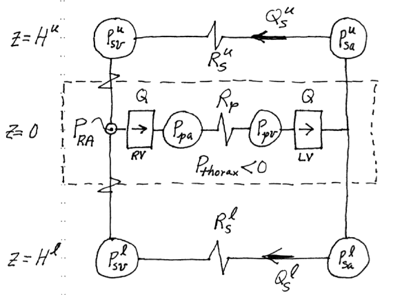 Hypergravity Simulation