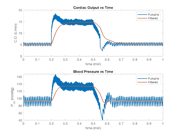 Feedback Control Model