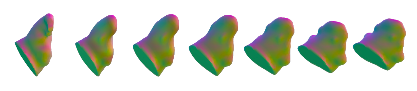 Riemannian Shape Analysis